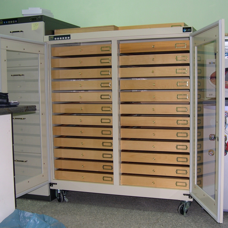 S-012 Customized Dry Cabinet for specimens